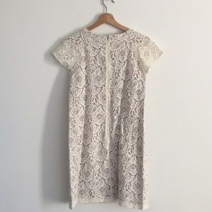 LOFT Dresses - White Lace Dress LOFT Dresses - White Lace Dress